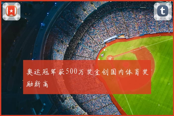奥运冠军获500万奖金创国内体育奖励新高