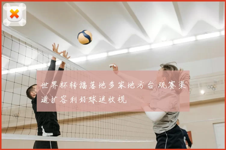 世界杯转播落地多家地方台 观赛渠道扩容利好球迷收视