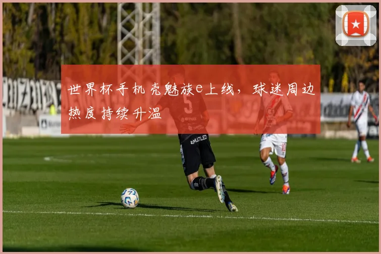 世界杯手机壳魅族e上线，球迷周边热度持续升温