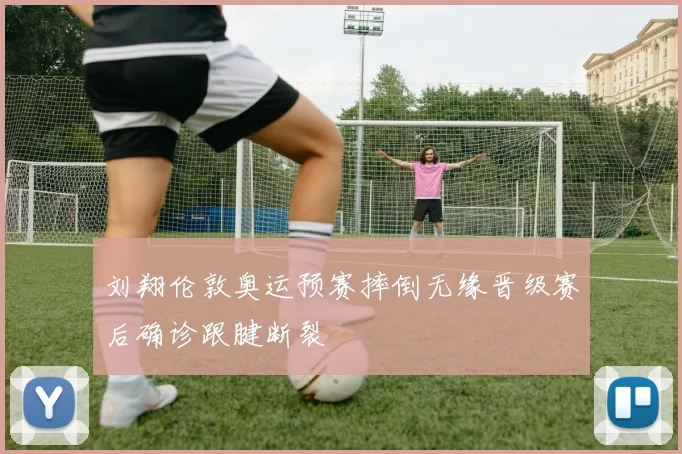 刘翔伦敦奥运预赛摔倒无缘晋级赛后确诊跟腱断裂