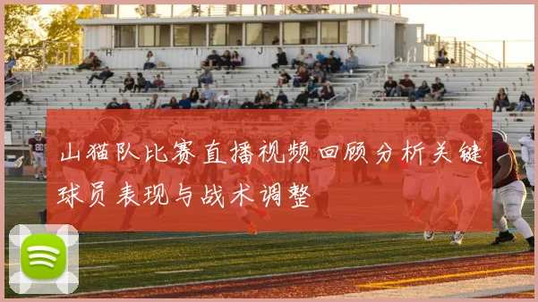 山猫队比赛直播视频回顾分析关键球员表现与战术调整