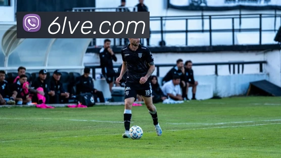 奇异果体育 - 官方网站平台生态图