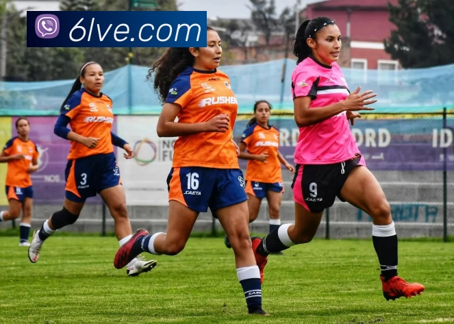 奇异果体育 - 官方网站全站App